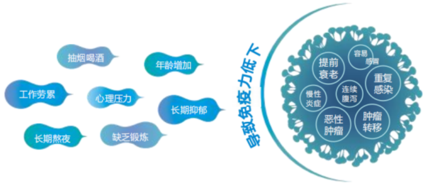 图片alt