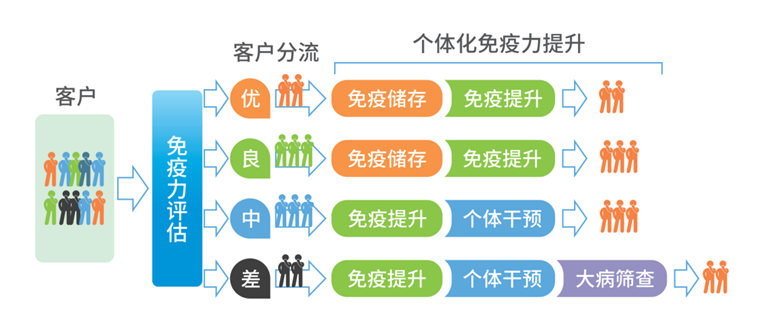 图片alt
