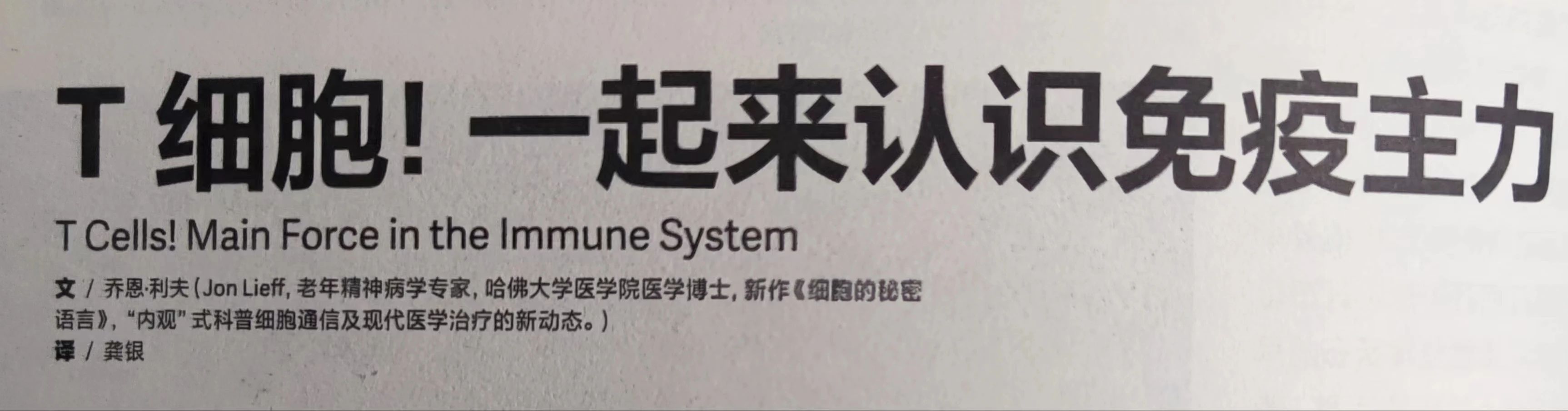 图片alt