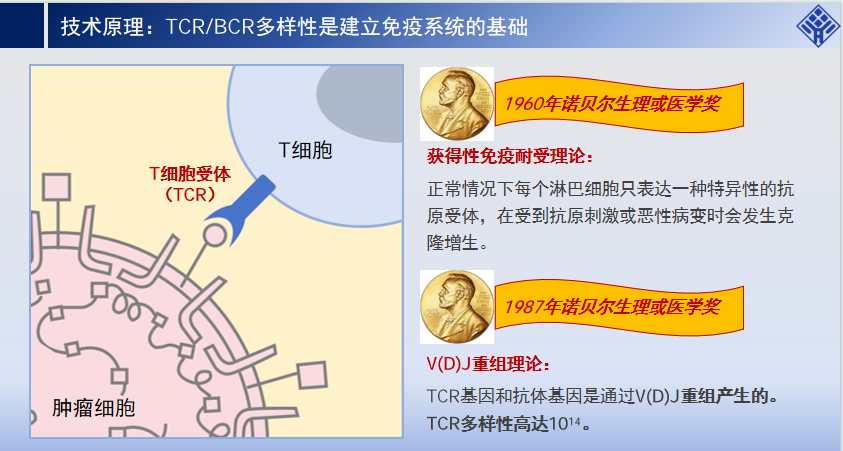 图片alt